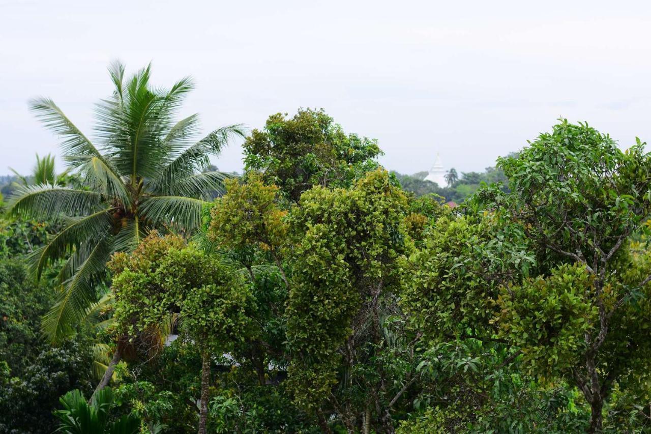 Heritage Eco Resort Kelaniya 外观 照片